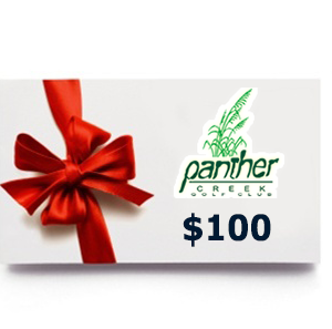 $100 Gift Card